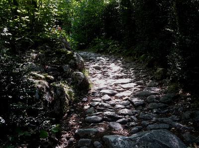 Camí de la Muntanya